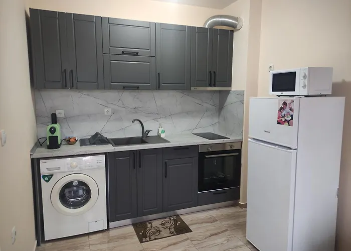 за гости николова *